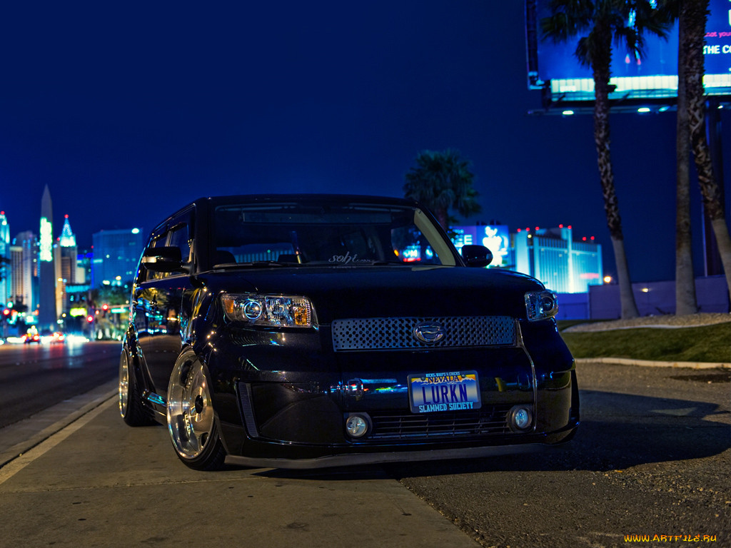 , scion